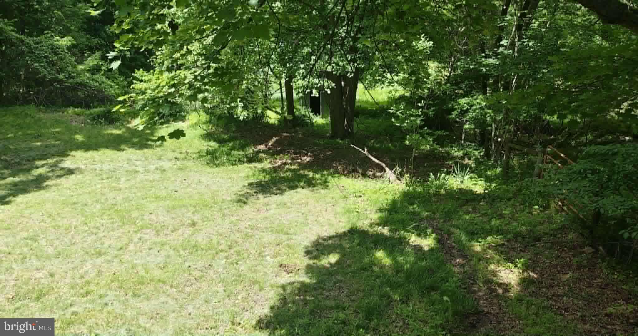 439 Trevorton Road Trevorton, PA 17881 - Photo 77 of 79 Lush green retreat under the trees.