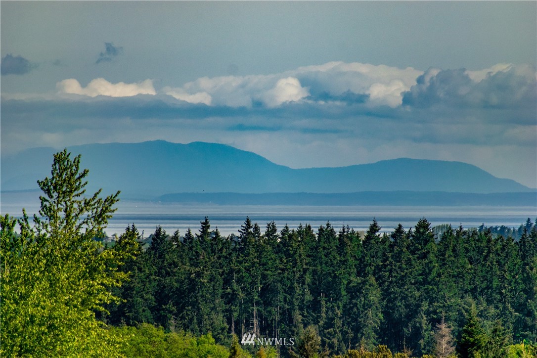1945 Atterberry Road Sequim, WA 98382 - Photo 2 of 25 a view of a yard and mountain