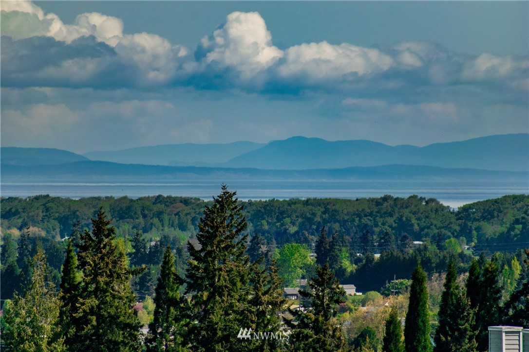 1945 Atterberry Road Sequim, WA 98382 - Photo 14 of 25 a view of lake with mountain