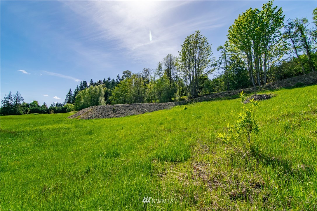1945 Atterberry Road Sequim, WA 98382 - Photo 16 of 25 a view of a field of grass and trees
