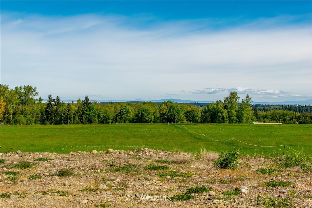 1945 Atterberry Road Sequim, WA 98382 - Photo 19 of 25 a view of a field with grass and trees