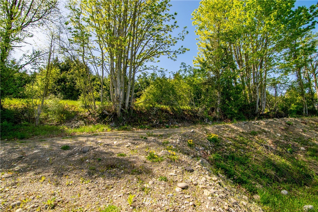 1945 Atterberry Road Sequim, WA 98382 - Photo 21 of 25 a view of a yard with trees
