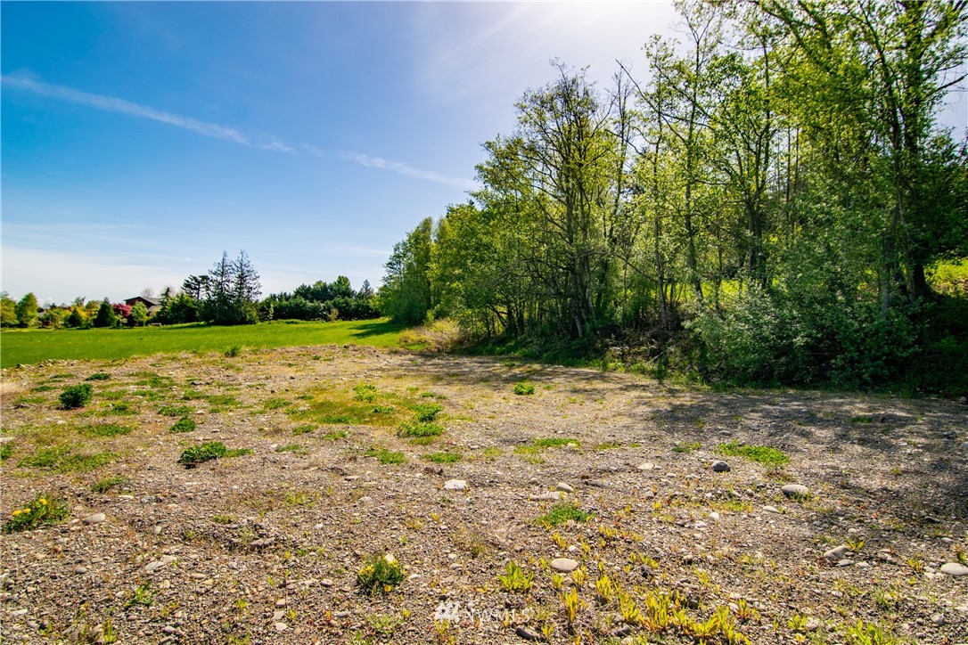 1945 Atterberry Road Sequim, WA 98382 - Photo 23 of 25 a view of a yard with a tree