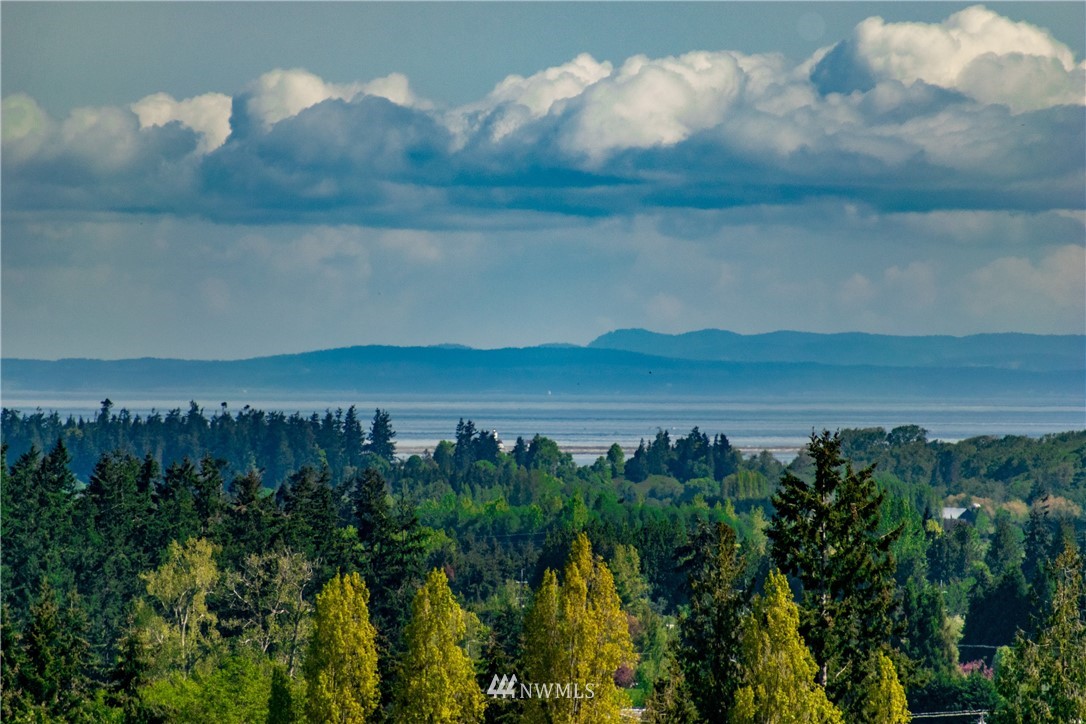 1945 Atterberry Road Sequim, WA 98382 - Photo 6 of 25 a view of lake with mountain in background