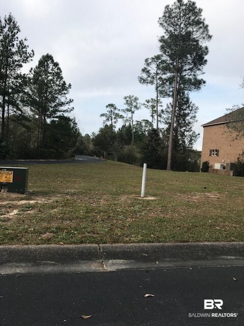1 Bella Lane Foley, AL 36535 - Photo 1 of 6 North view of lot