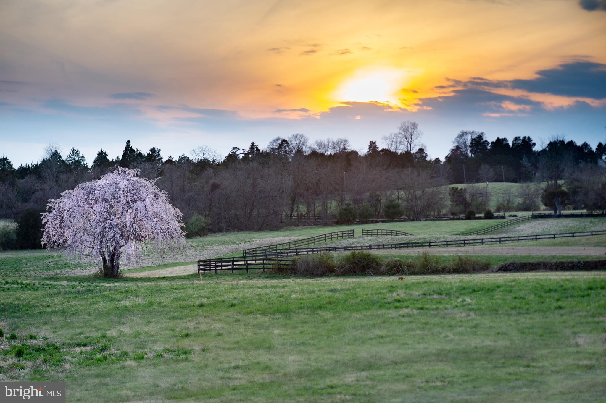8669 Springs Road Warrenton, VA 20186 - Photo 3 of 50 Exquisite Grounds