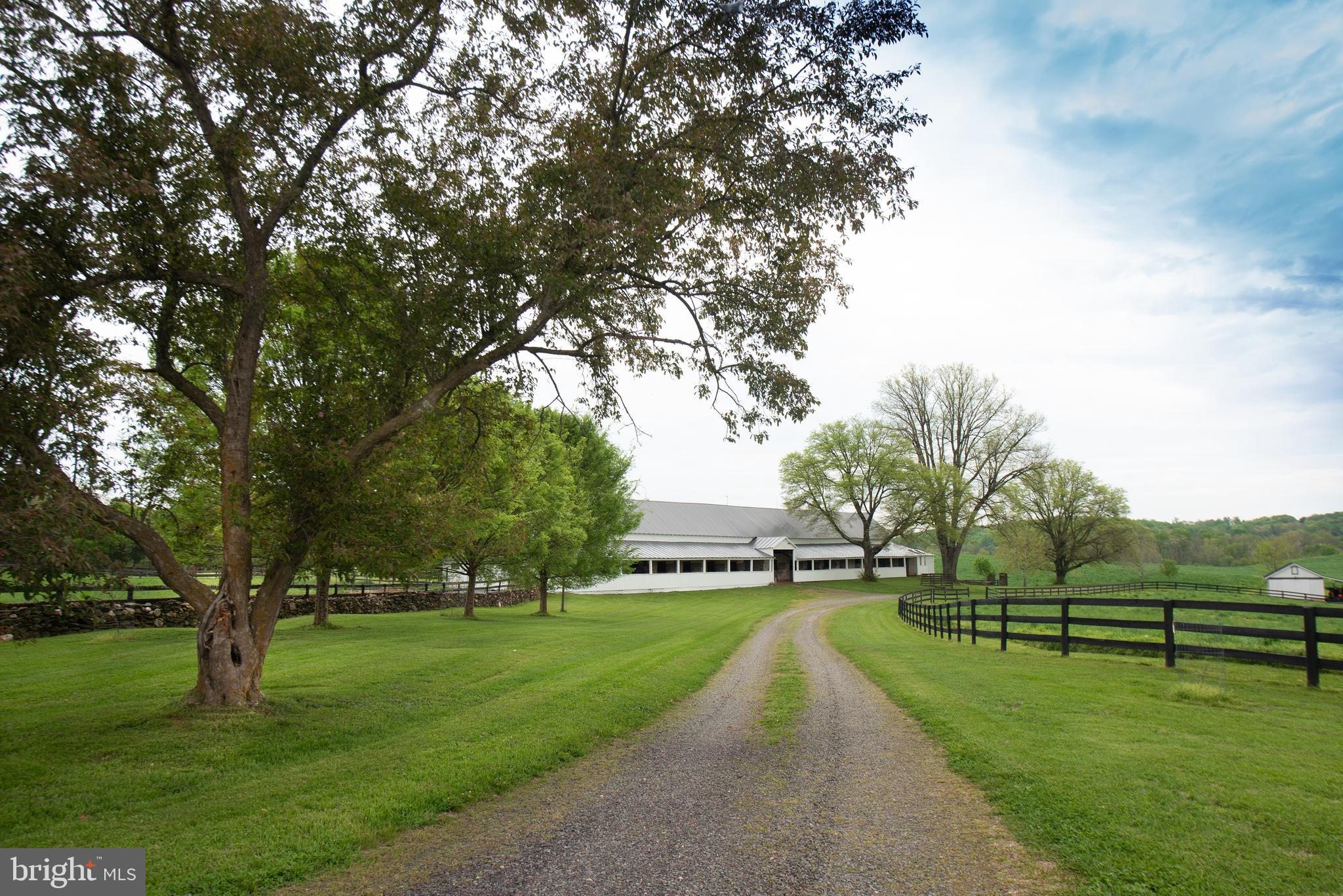 8669 Springs Road Warrenton, VA 20186 - Photo 45 of 50 Approx One-Quarter Mile Driveway