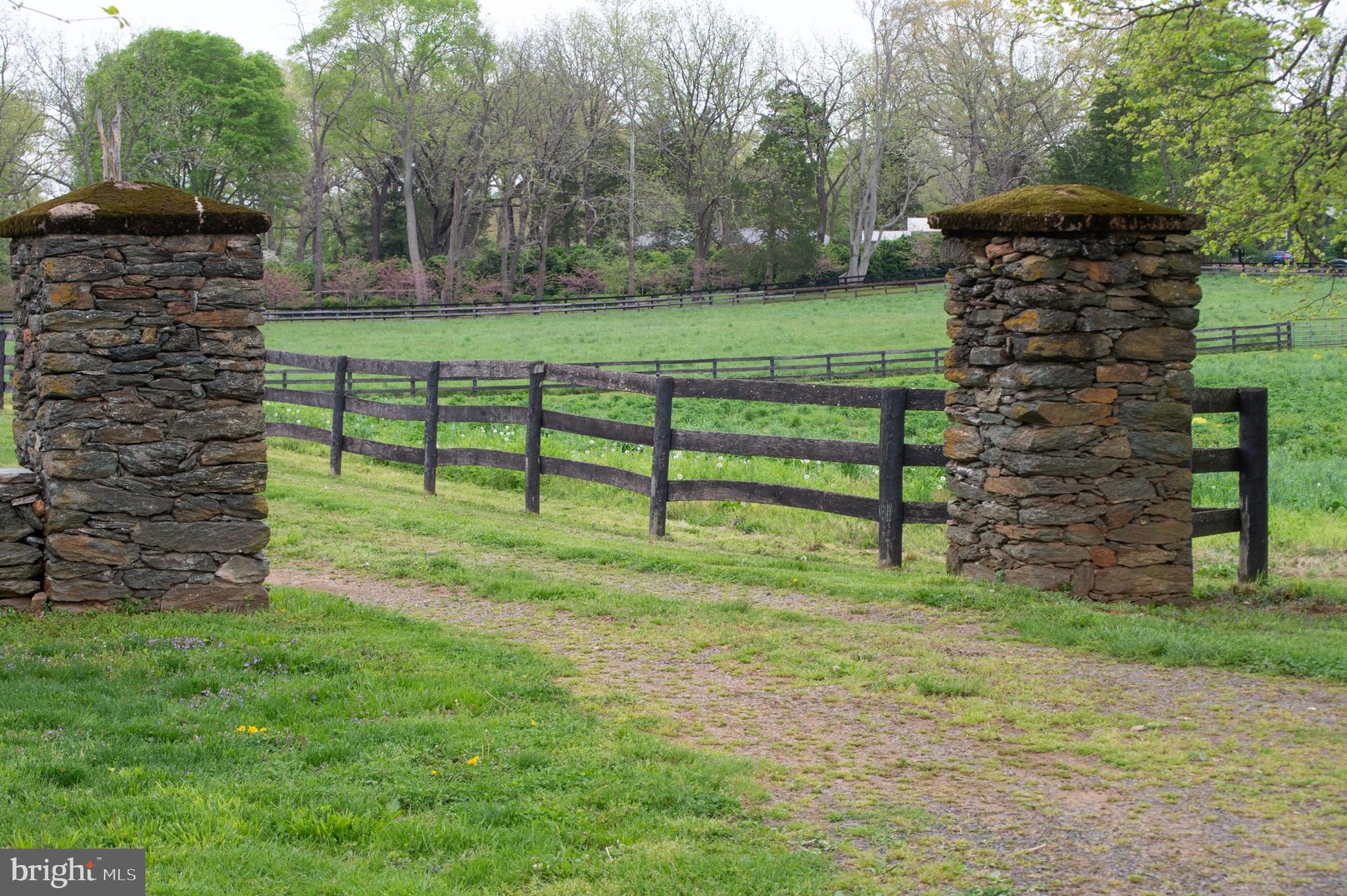 8669 Springs Road Warrenton, VA 20186 - Photo 48 of 50 Front Entrance Stone Columns & Private Drive