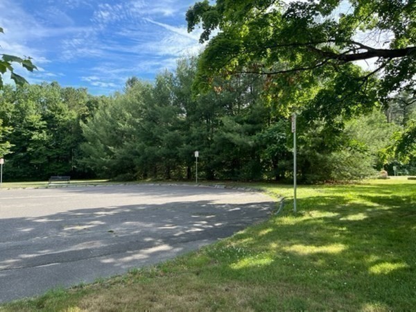 325 Longhill Street Springfield, MA 01108 - Photo 36 of 39 a view of a field with a tree
