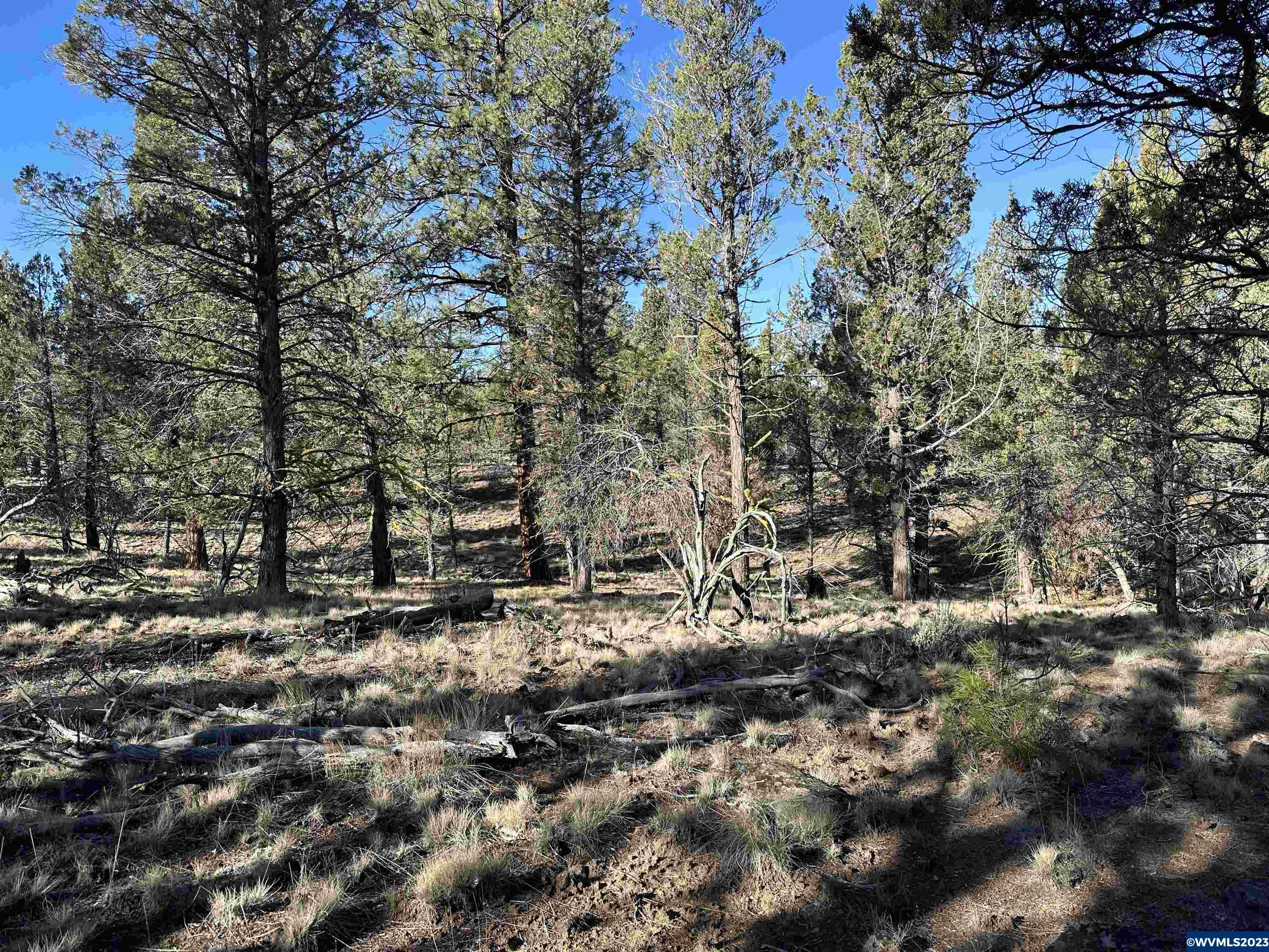 1300 Fishhole Creek Road Bly, OR 97622 - Photo 22 of 25