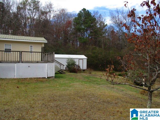 109 Hawkins Road Springville, AL 35146 - Photo 21 of 24