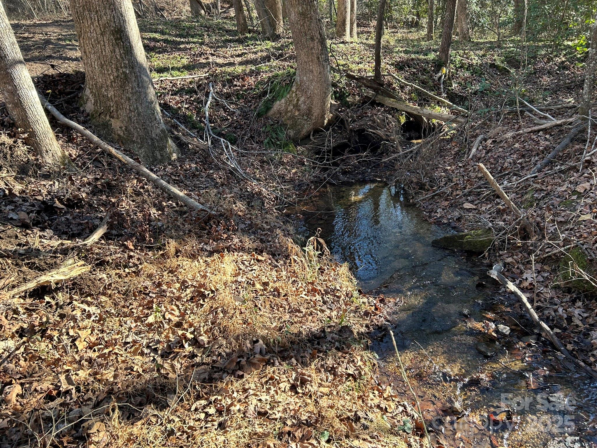 464 Hamrick Road Mooresboro, NC 28114 - Photo 46 of 48 a view of a garden with plants