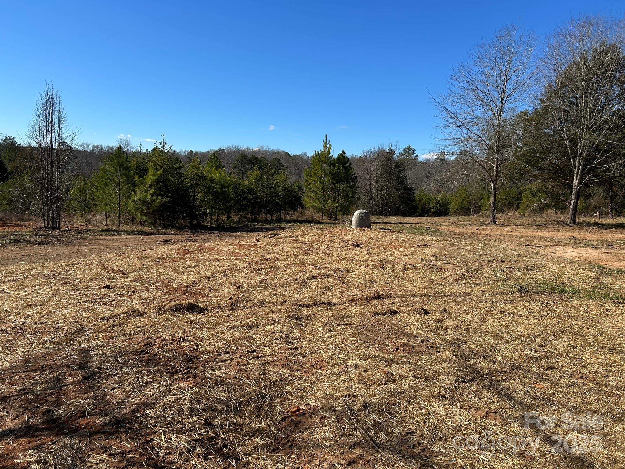464 Hamrick Road Mooresboro, NC 28114 - Photo 7 of 48 a view of empty field with trees in background