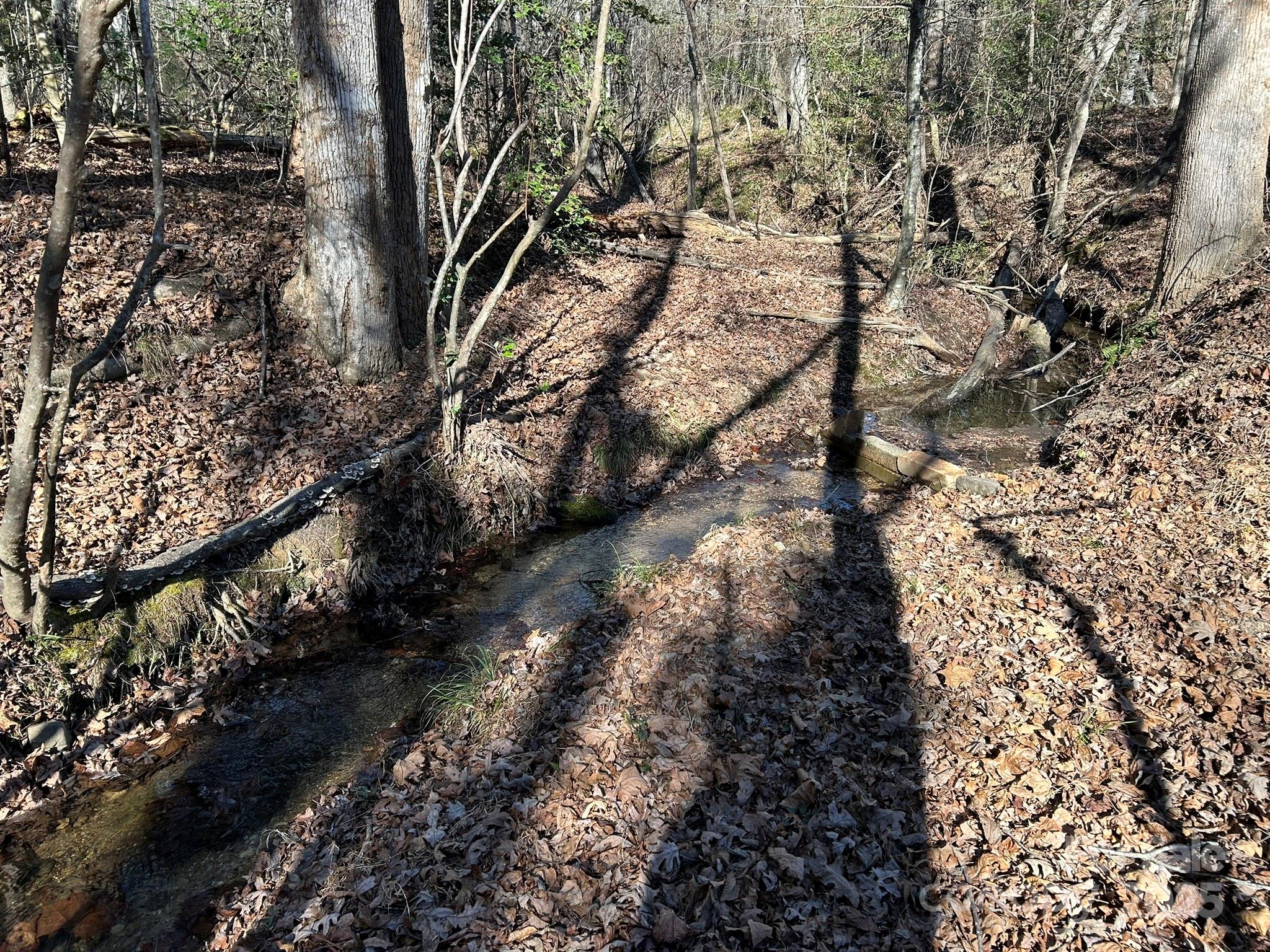 464 Hamrick Road Mooresboro, NC 28114 - Photo 9 of 48 a view of a yard with plants and large trees