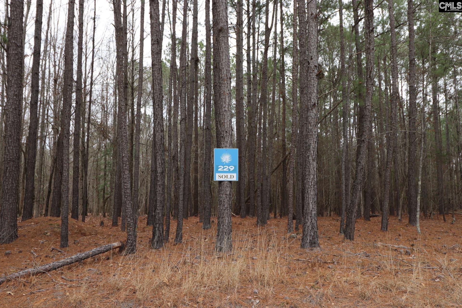 Lot 229 Granny Hill Road Prosperity, SC 29127 - Photo 3 of 61