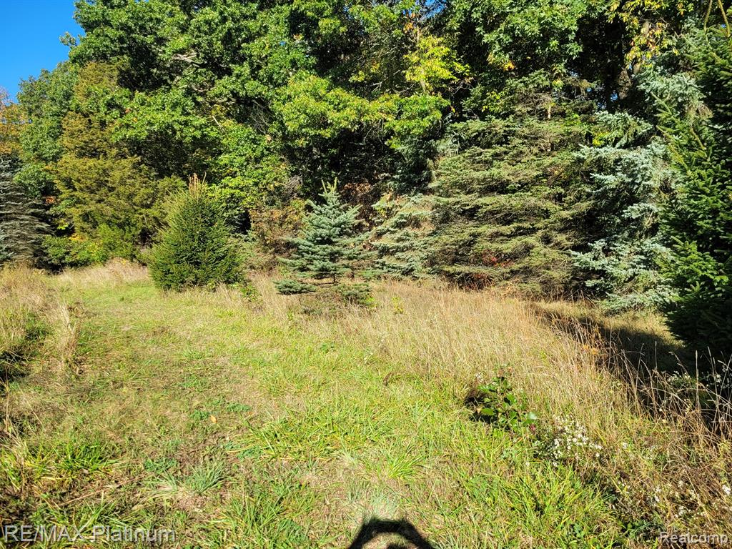 Parc B Tipsico Lake Road Hartland, MI 48353 - Photo 6 of 22