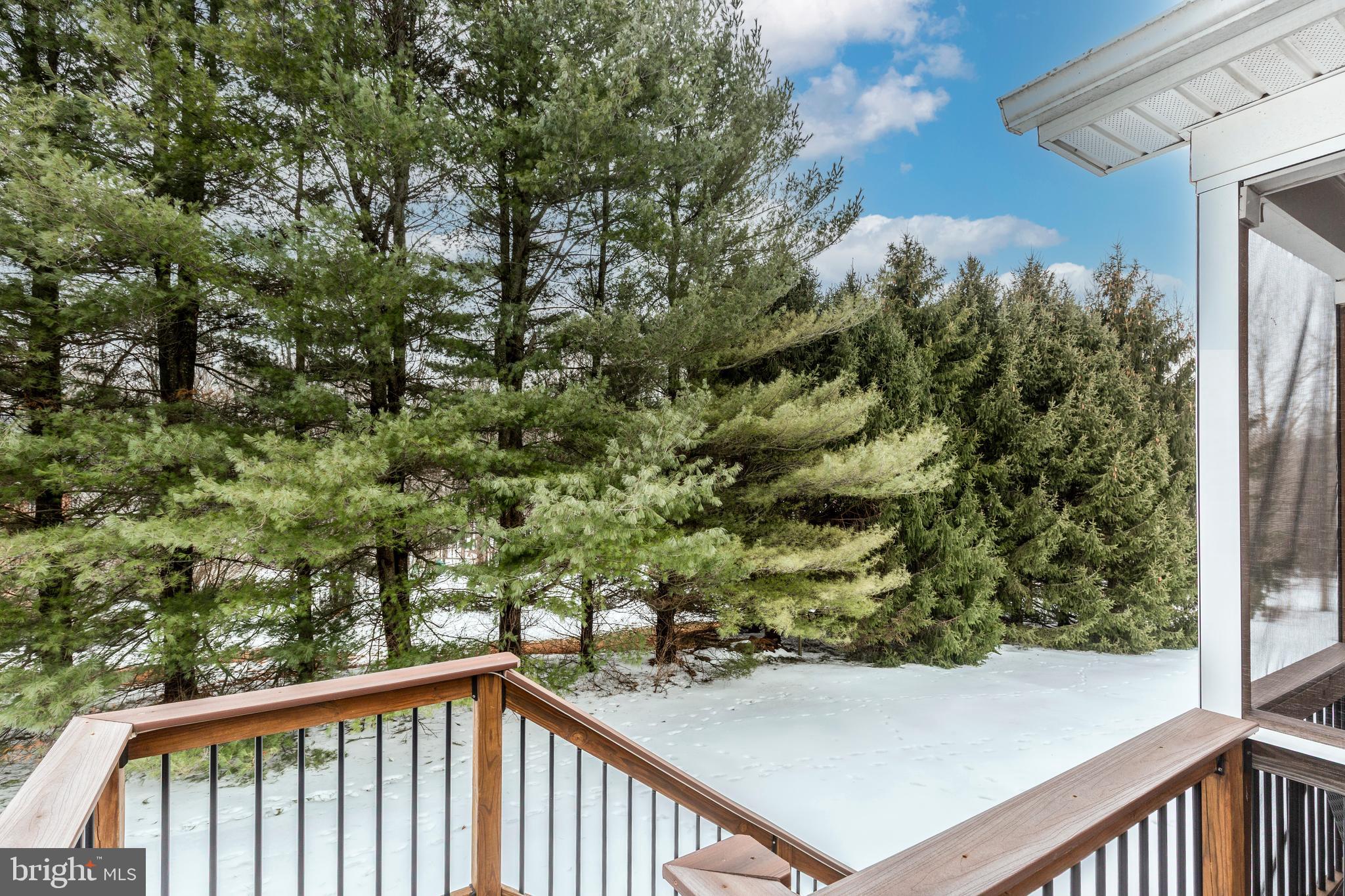 3175 Wheatfield Road Finksburg, MD 21048 - Photo 57 of 64 Rear Yard View