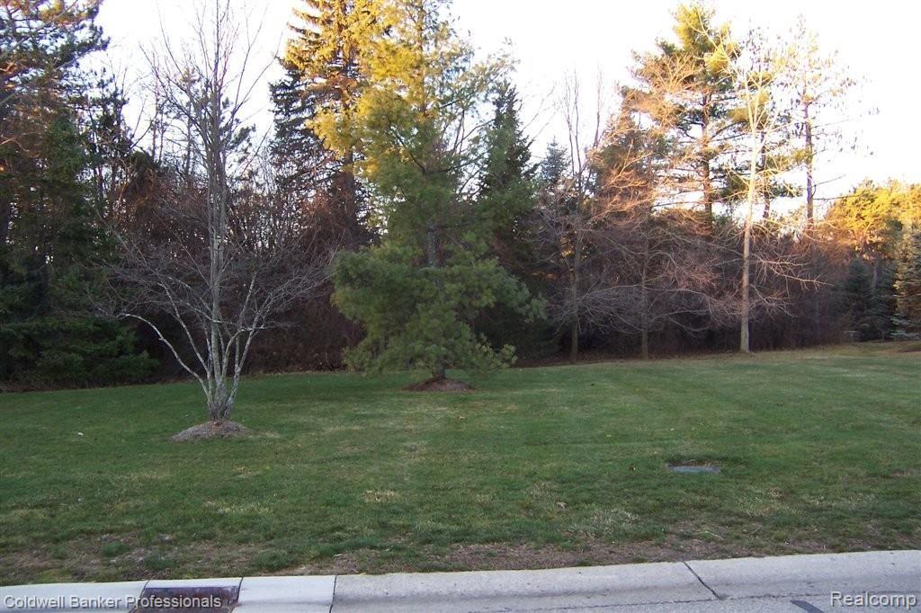 3914 Walnut Brook Drive Rochester Hills, MI 48309 - Photo 2 of 4