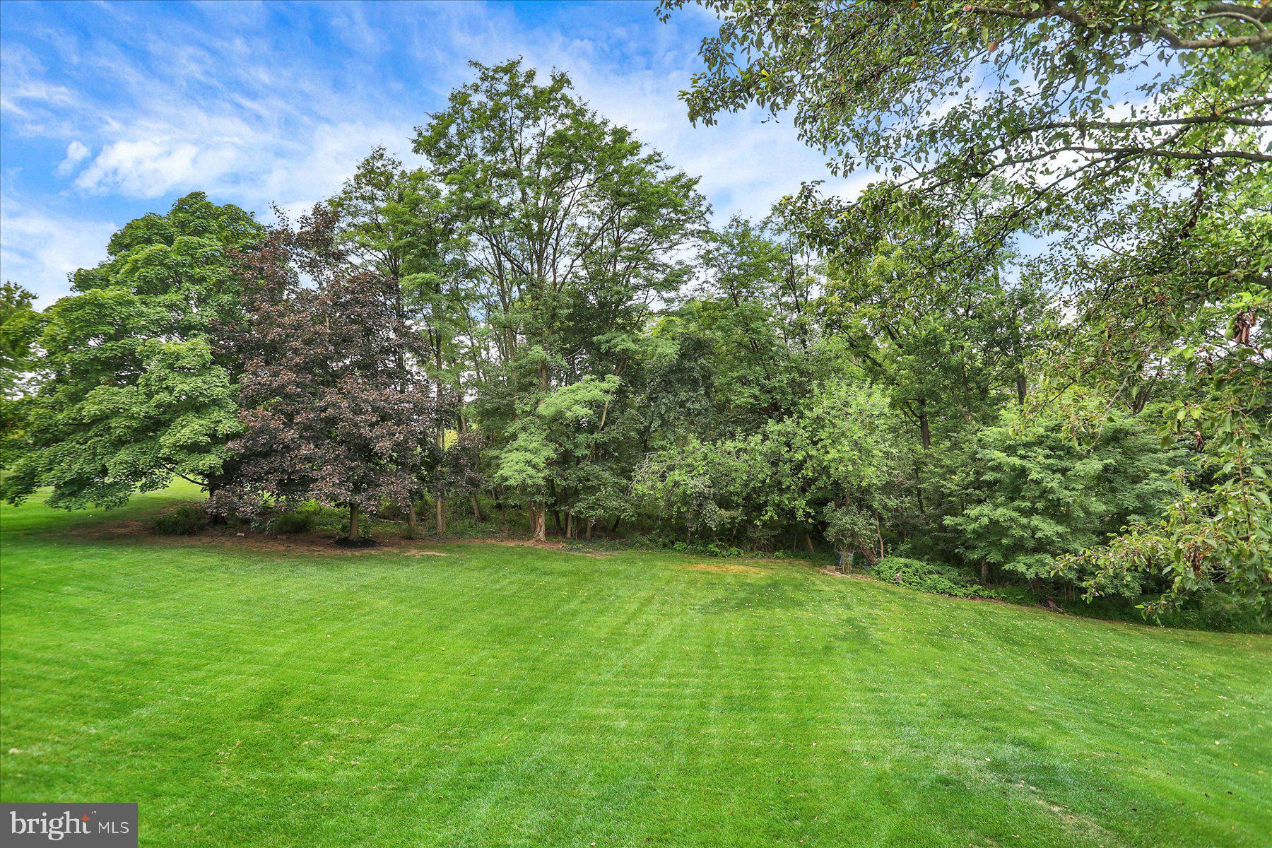 2204 East Coventry Lane Enola, PA 17025 - Photo 52 of 59 Spacious PRIVATE Rear Yard