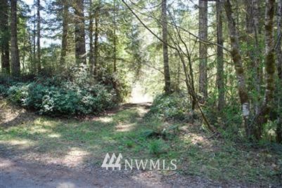391 Rivendell Road Grapeview, WA 98546 - Photo 1 of 1 Gallery Image 1