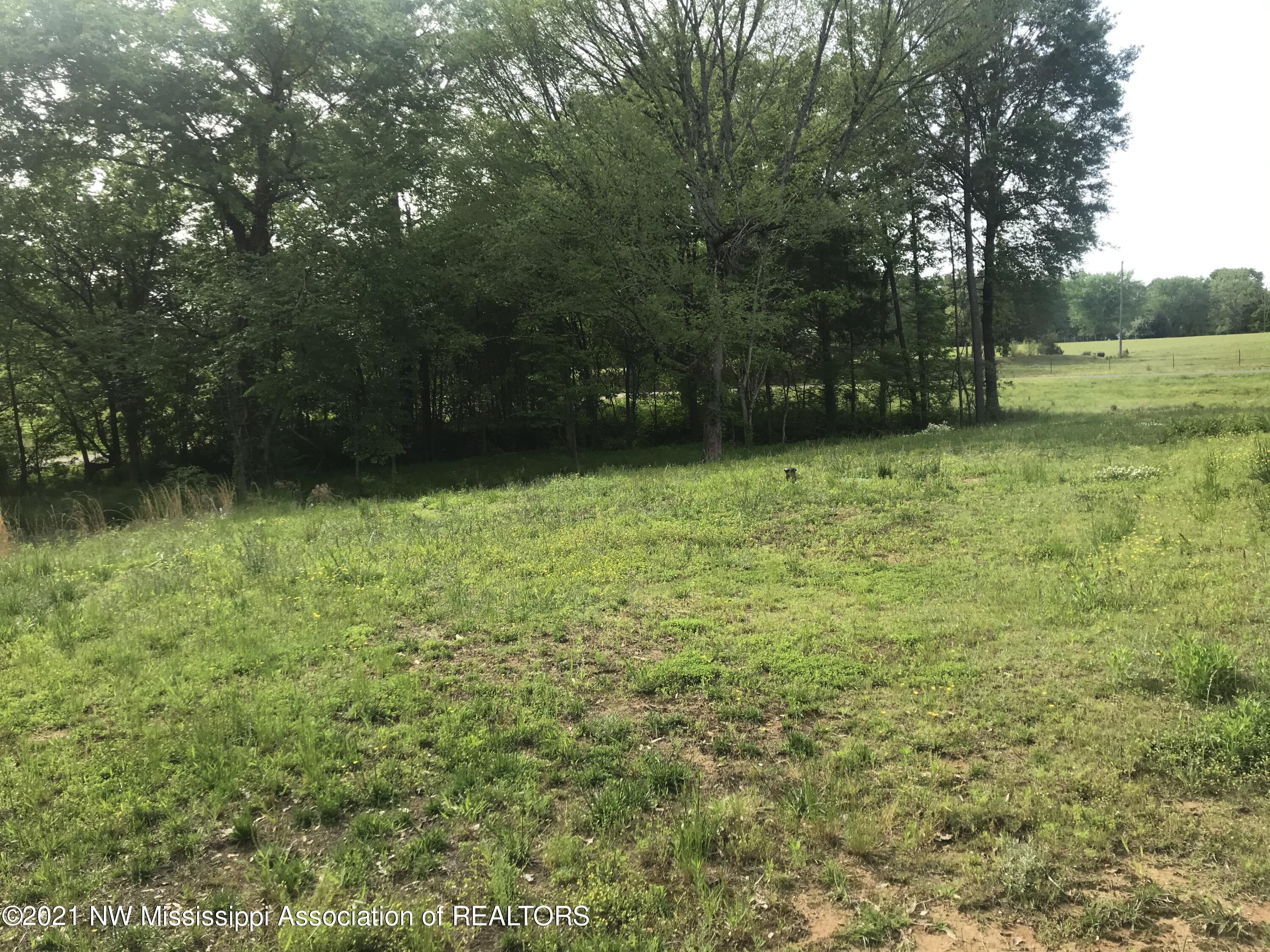 512 Red Banks Road Coldwater, MS 38618 - Photo 17 of 20 44B77CBE-3BA9-45AD-B600-1905D43C13B2