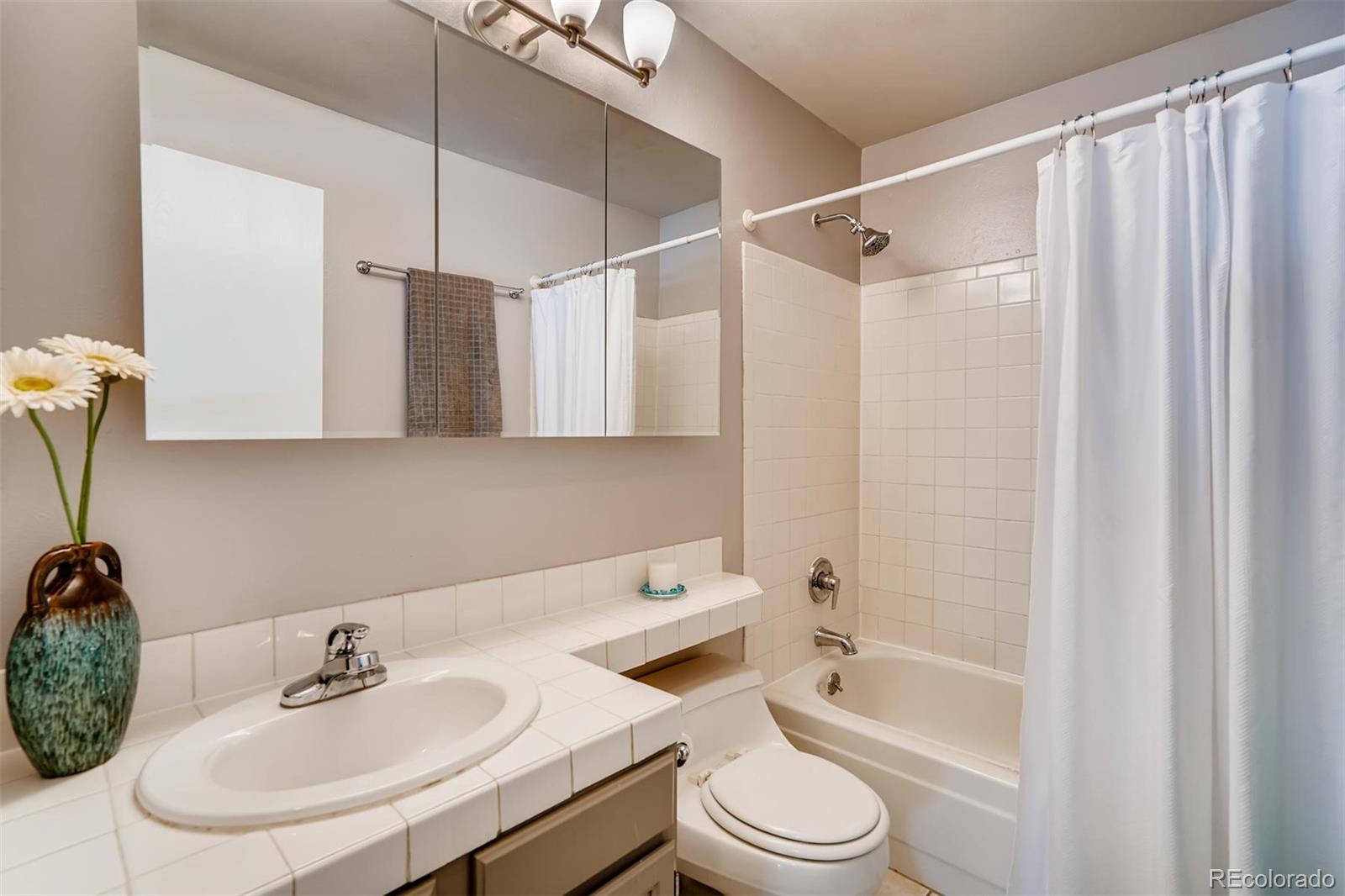 8448 Rabbitbrush Way Parker, CO 80134 - Photo 14 of 24 Gallery Image 14