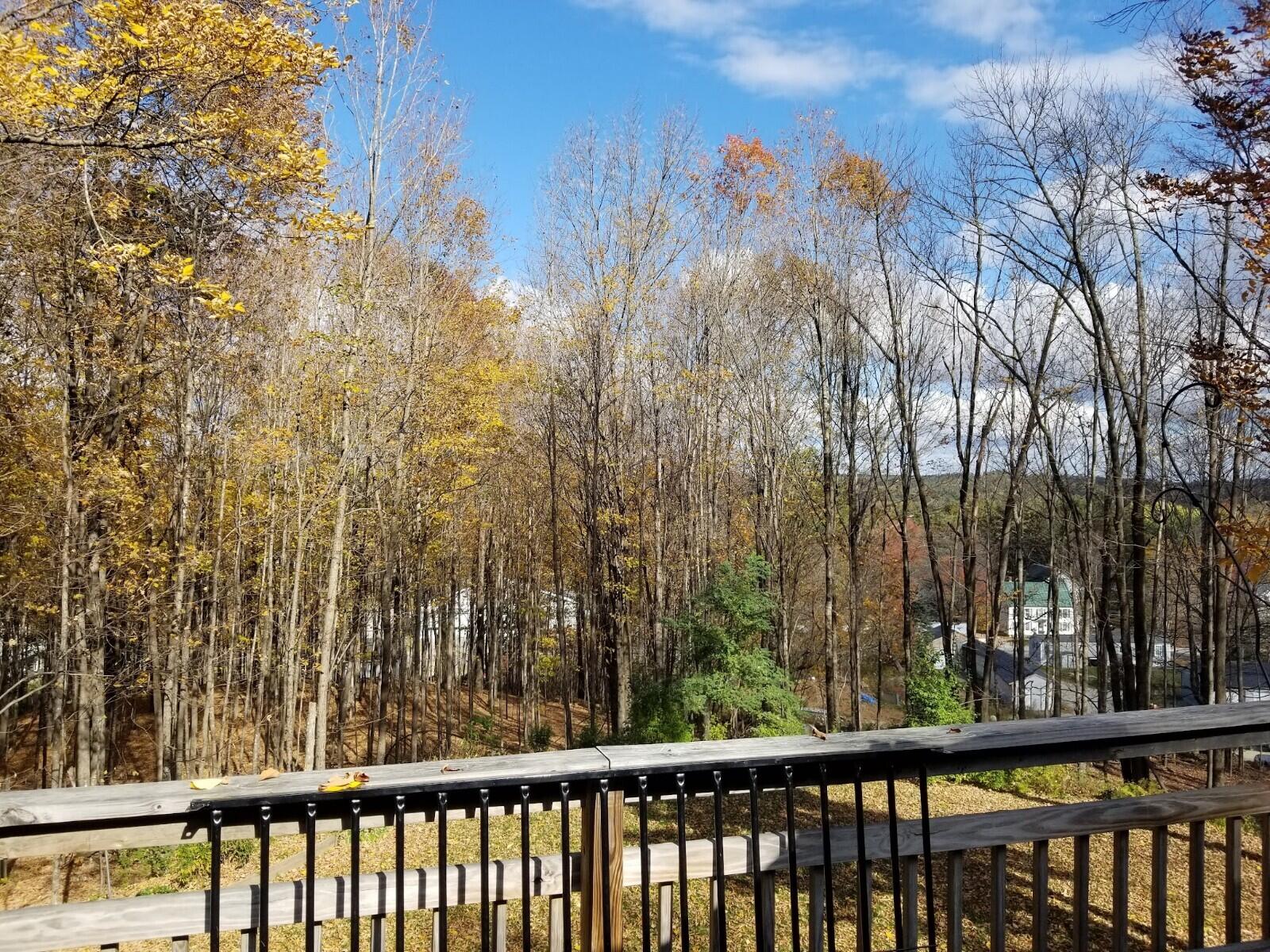 38 Loring Hill Road Buckfield, ME 04220 - Photo 31 of 33 20211014_132905