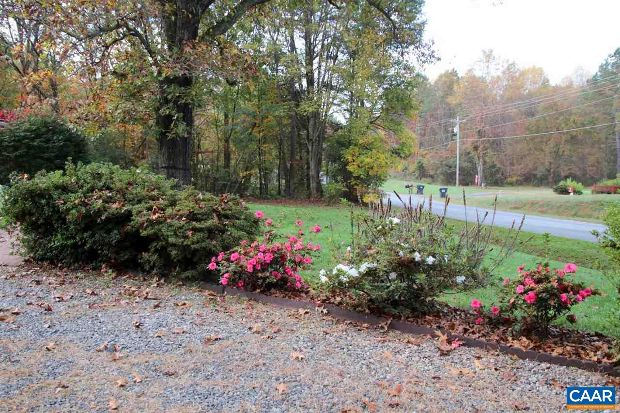 1264 Ridgeview Road Reva, VA 22735 - Photo 33 of 43 a view of a garden with plants and large trees