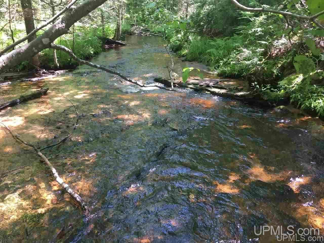 Tbd Trail Off Northwestern Road Big Bay, MI 49808 - Photo 11 of 12