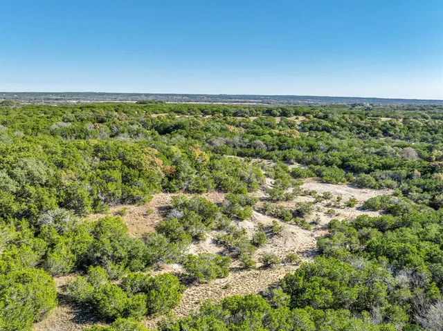 a view of a green field with lots of bushes
