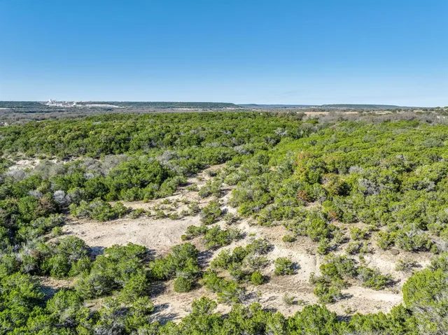 an aerial view of houses covered in trees
