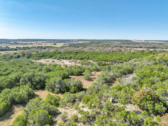 a view of a dry yard with trees in the background