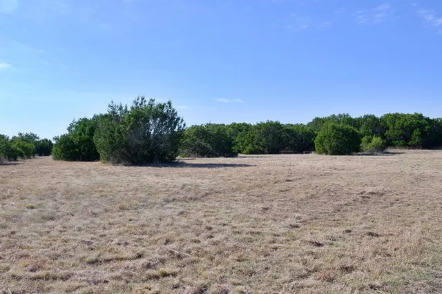a view of a house with a tree