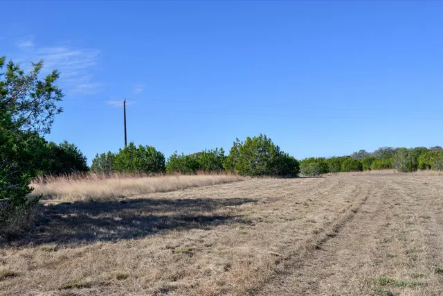 a view of a yard with a tree