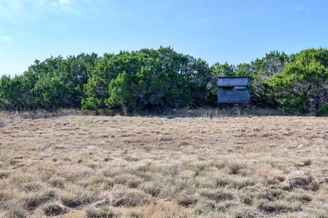 a view of a large yard