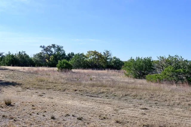 a view of a house with backyard and tree