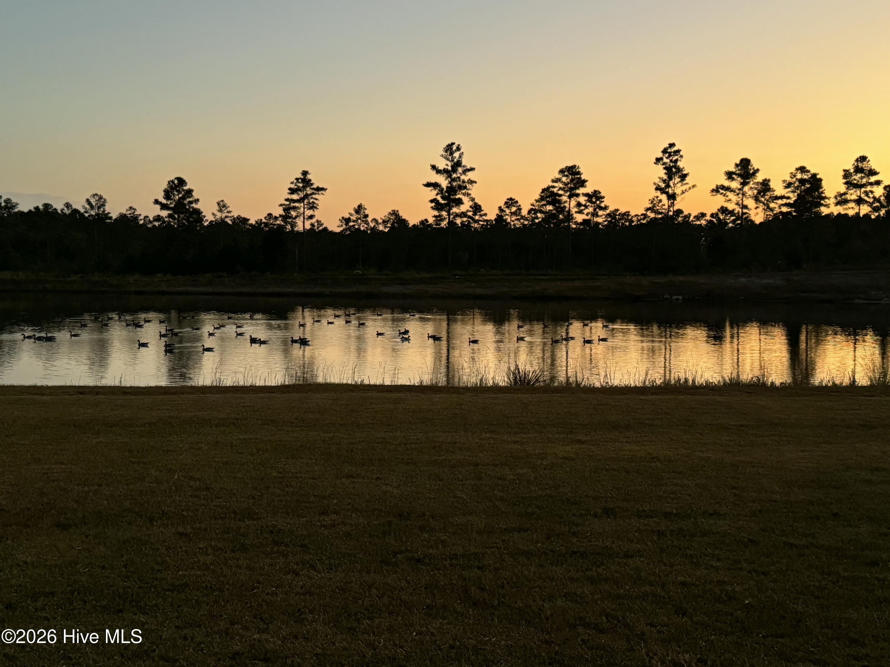 110 Sea Breeze Court Holly Ridge, NC 28445 - Photo 6 of 51 IMG_6769
