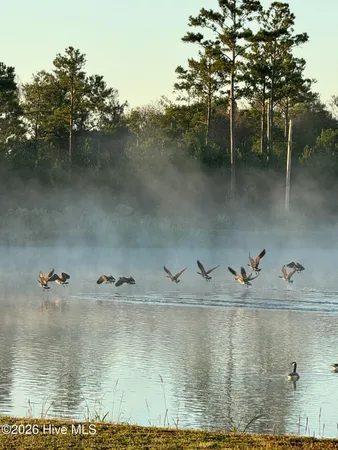 $2,600 | 110 Sea Breeze Court, Holly Ridge, NC 28445