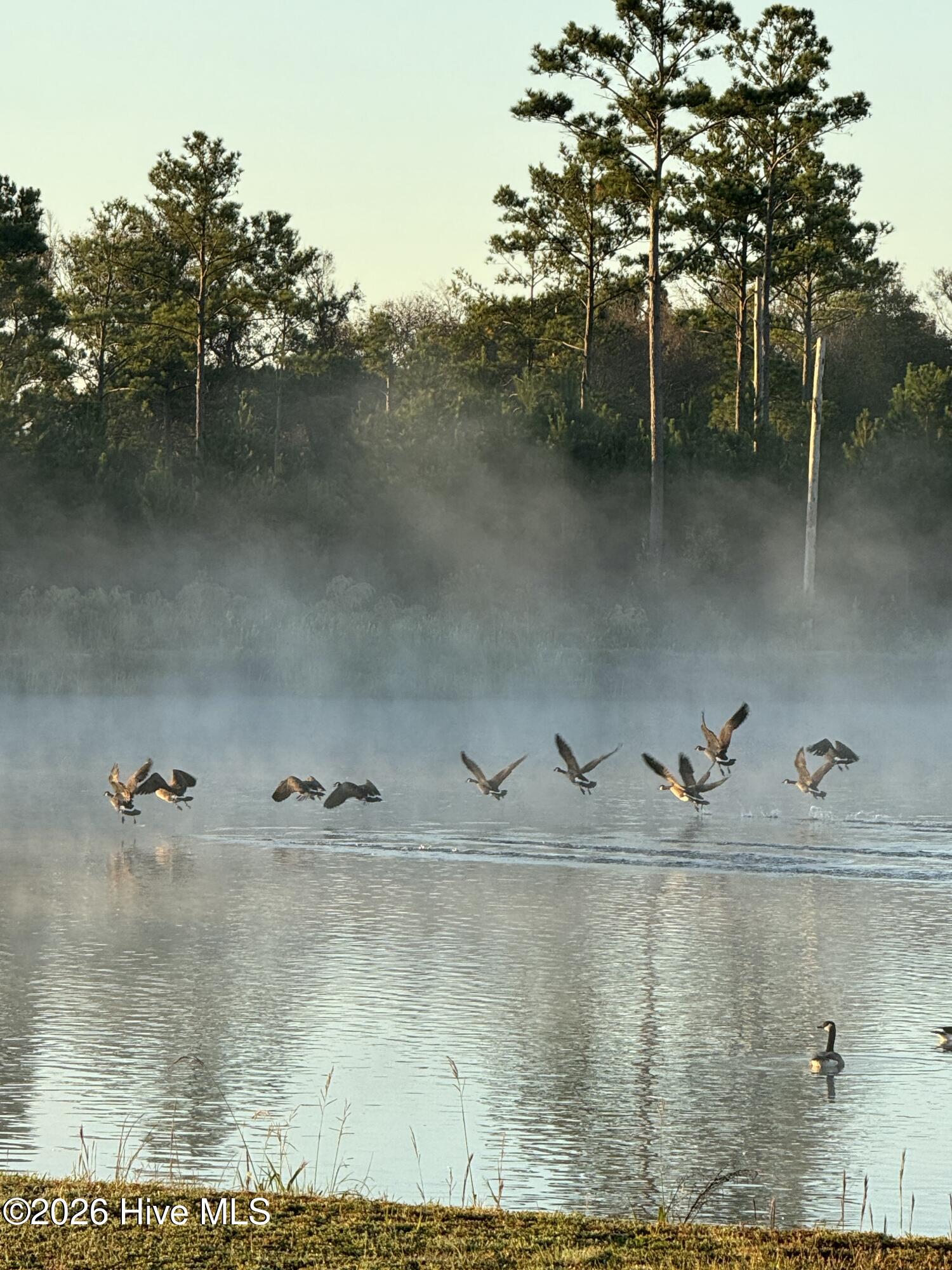 110 Sea Breeze Court Holly Ridge, NC 28445 - Photo 7 of 51 IMG_6687