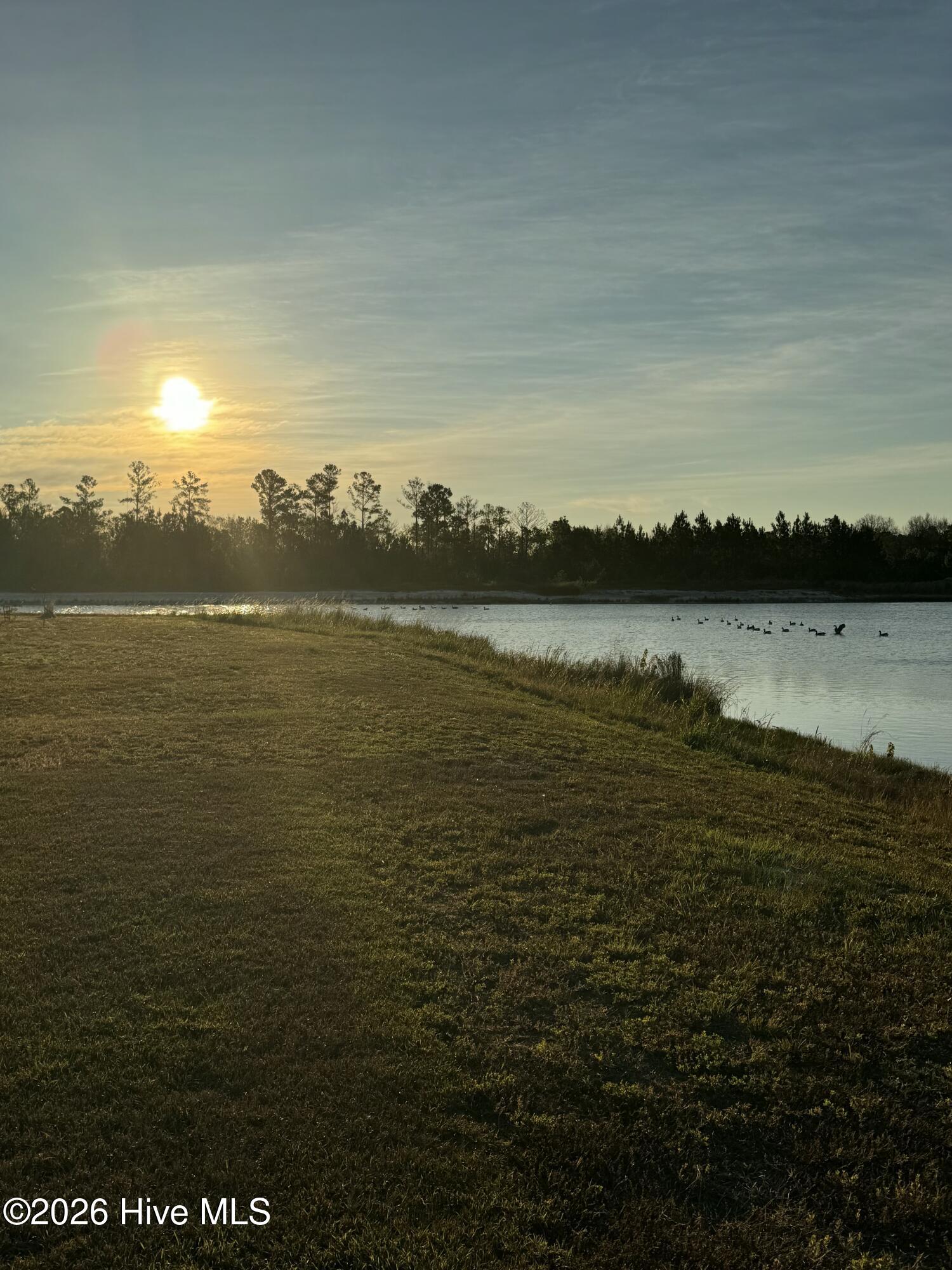 110 Sea Breeze Court Holly Ridge, NC 28445 - Photo 8 of 51 IMG_6882