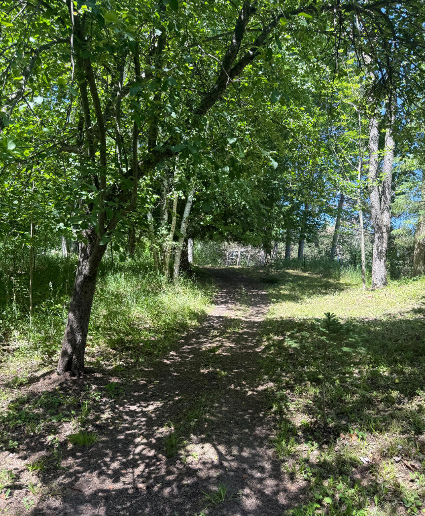 3628 Rau Road West Branch, MI 48661 - Photo 89 of 113 Trail