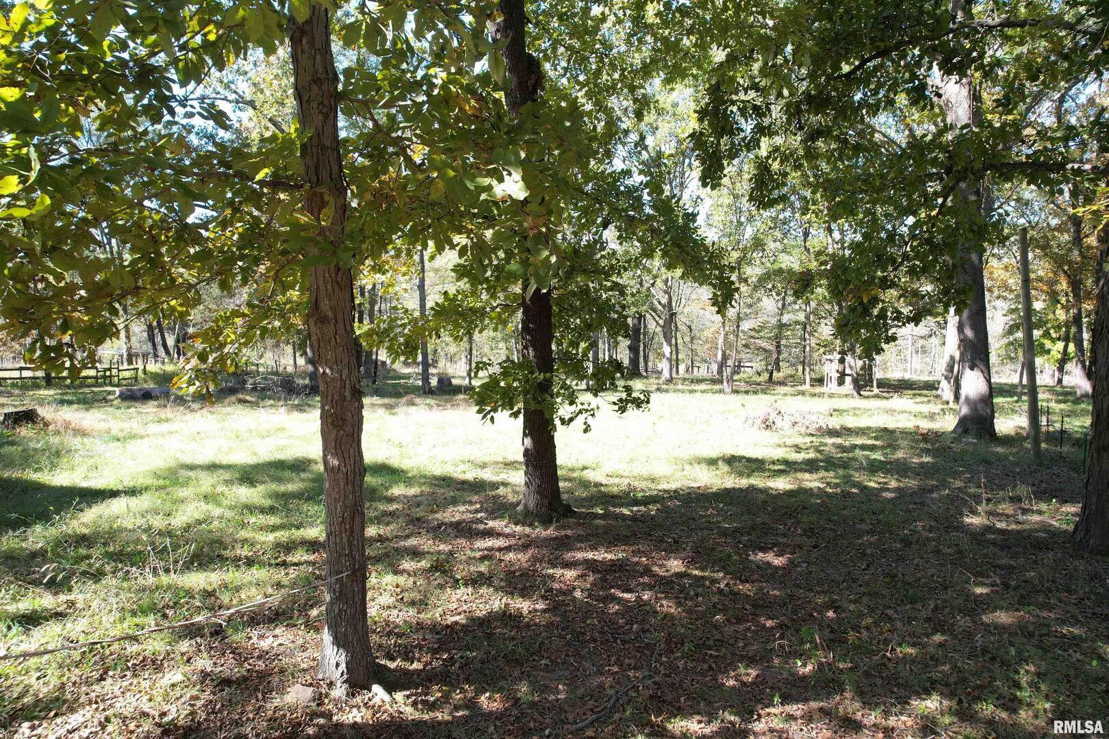 0 Lusk Road Golconda, IL 62938 - Photo 8 of 10 a view of yard with trees