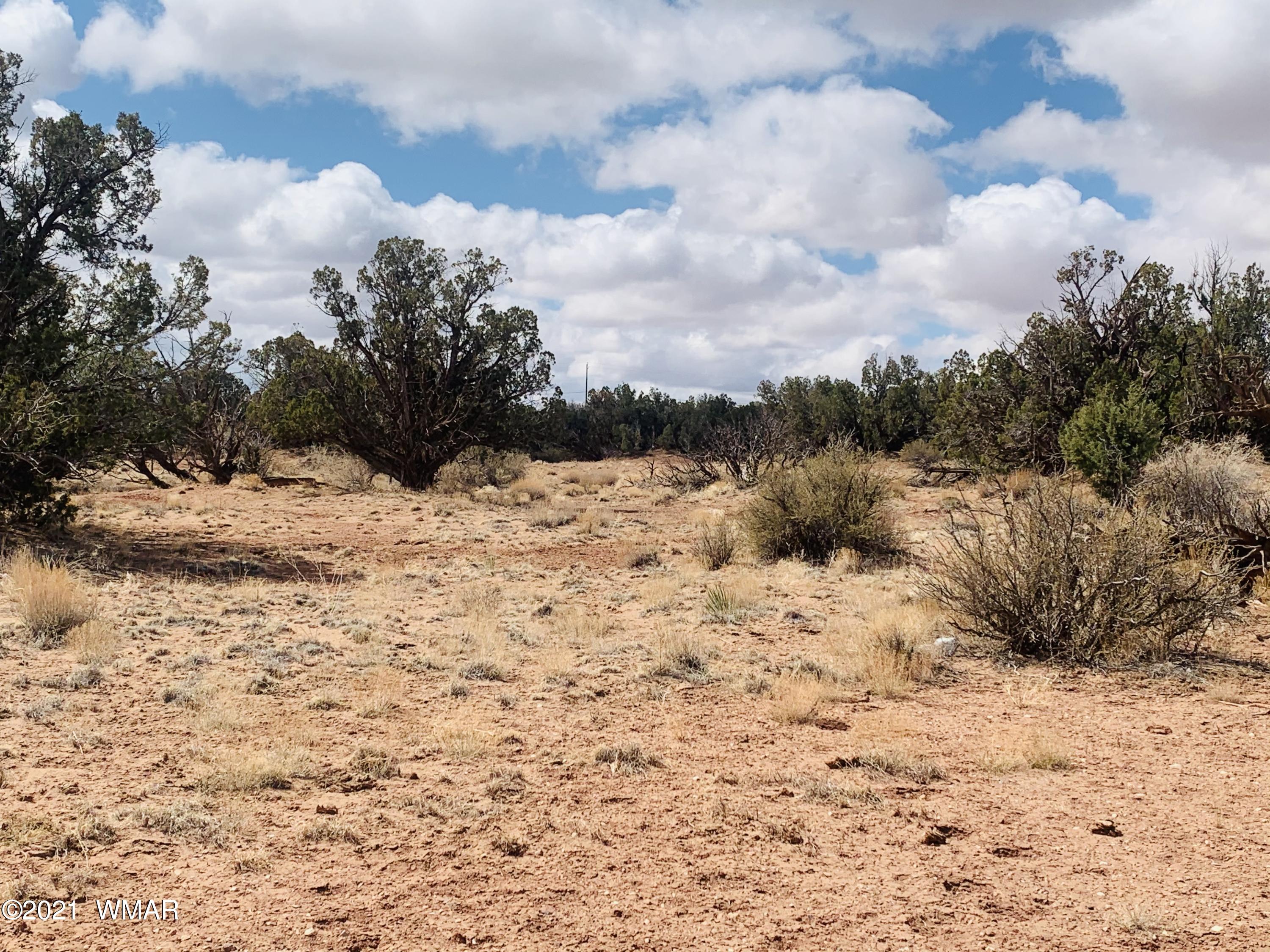 Eight Ranch Road Snowflake, AZ 85937 - Photo 1 of 4