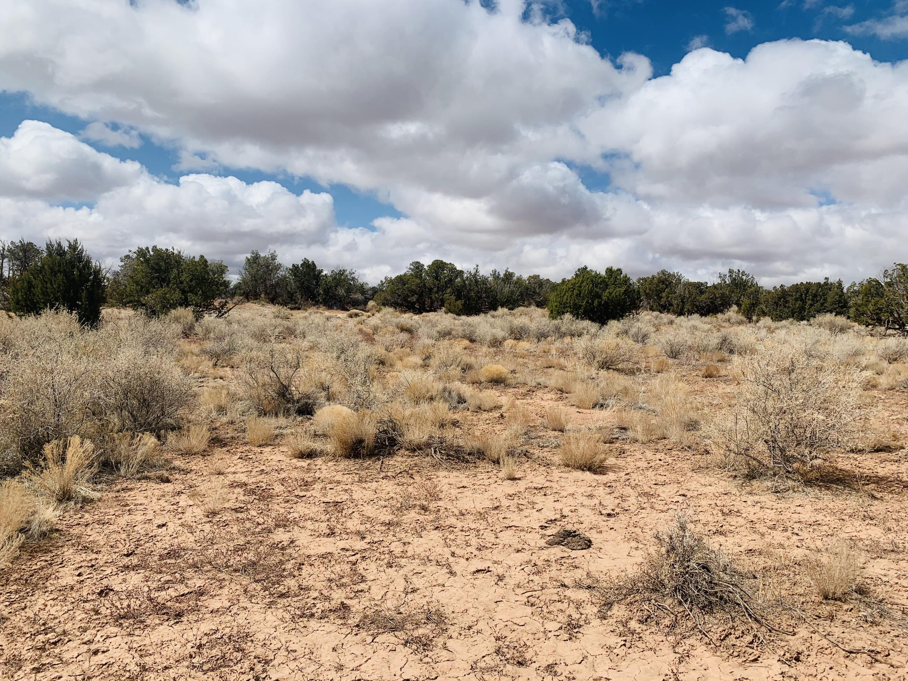Eight Ranch Road Snowflake, AZ 85937 - Photo 2 of 4