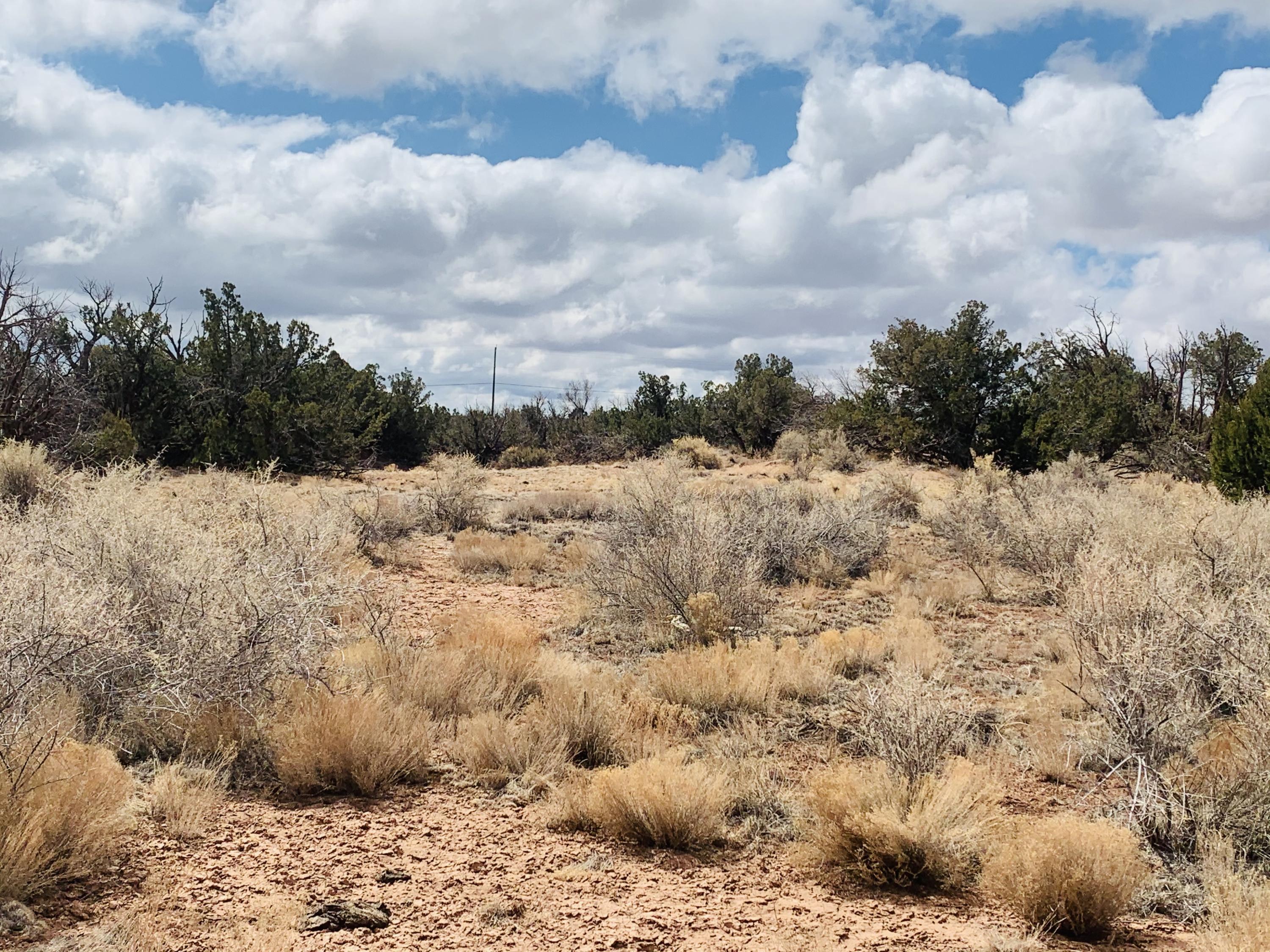 Eight Ranch Road Snowflake, AZ 85937 - Photo 3 of 4