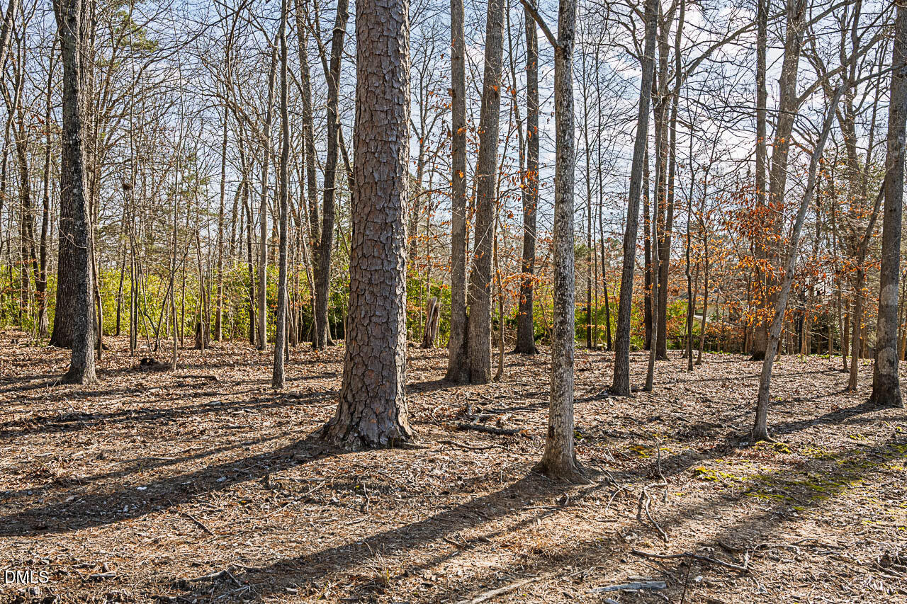 4012 Nottaway Road Durham, NC 27707 - Photo 12 of 15 a view of a backyard with trees