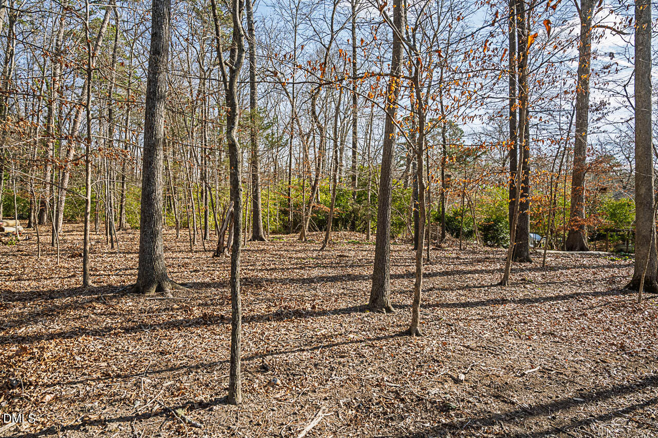 4012 Nottaway Road Durham, NC 27707 - Photo 13 of 15 a view of a park with large trees
