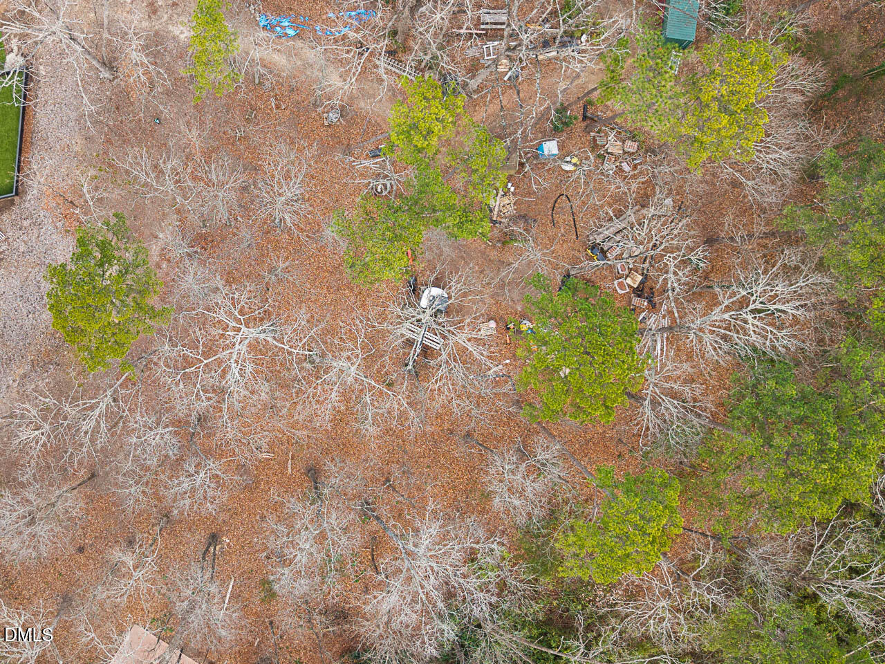4012 Nottaway Road Durham, NC 27707 - Photo 4 of 15 a close up of a flower in a garden