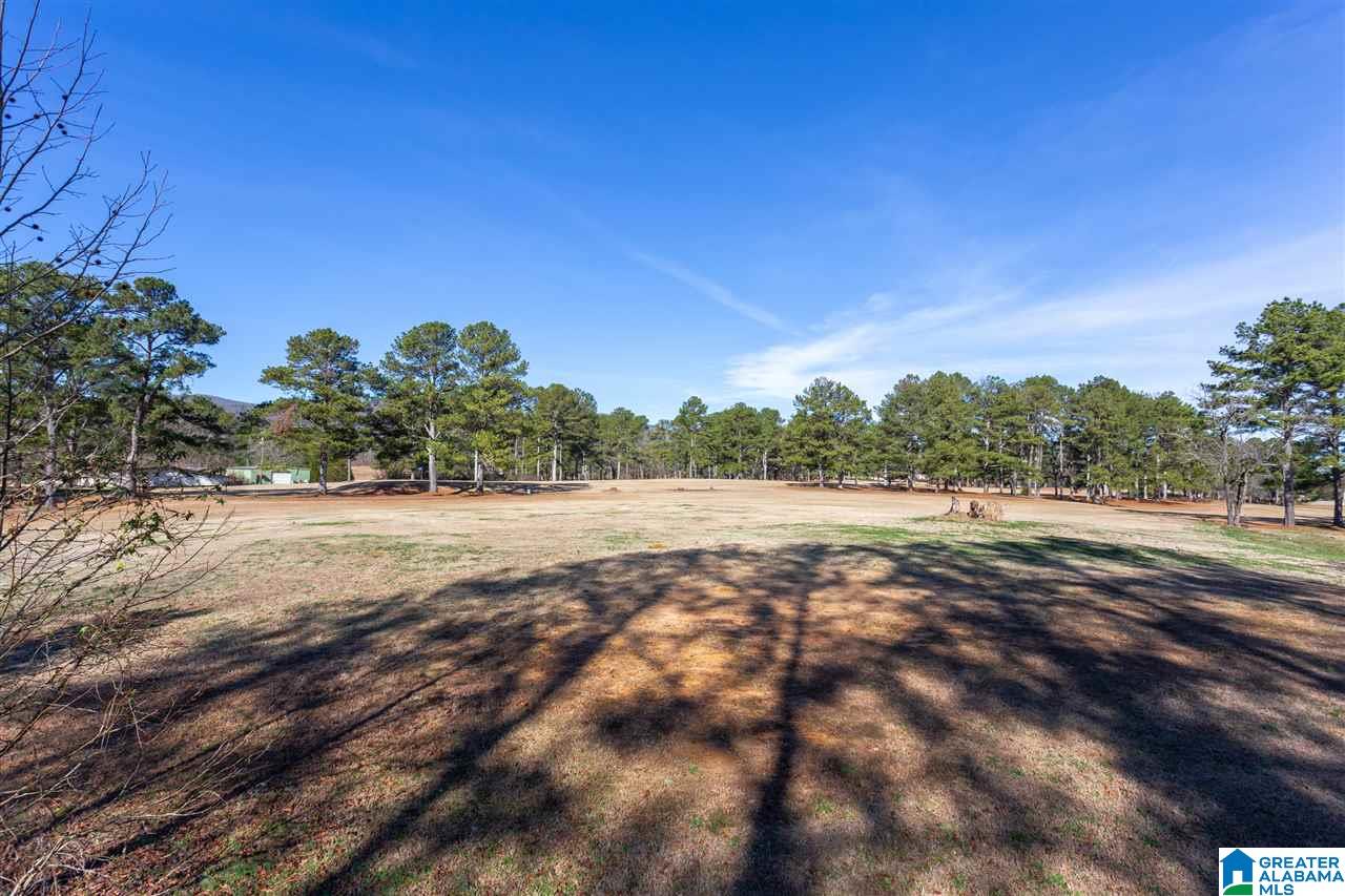 131 Choccolocco Road, Unit 1 & 1A Anniston, AL 36207 - Photo 2 of 11