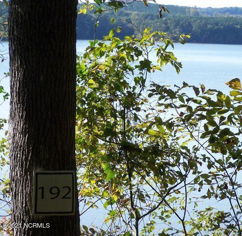 192 Vista Lane Rockingham, NC 28379 - Photo 3 of 12 property lake view